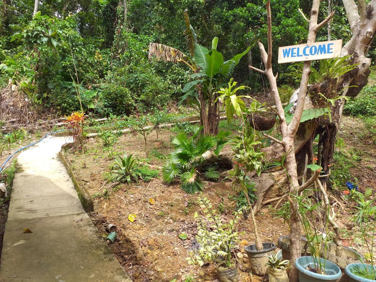 Forest Camp El Nido Extérieur photo