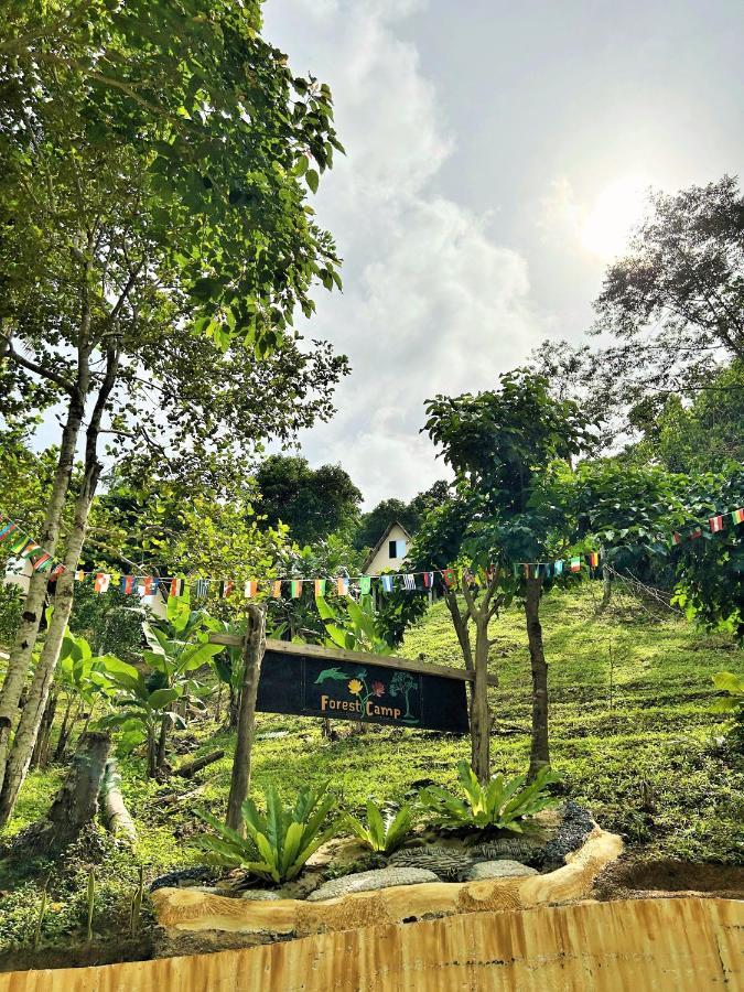 Forest Camp El Nido Extérieur photo