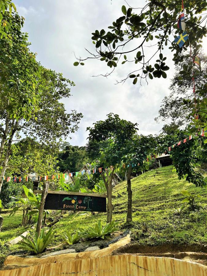 Forest Camp El Nido Extérieur photo