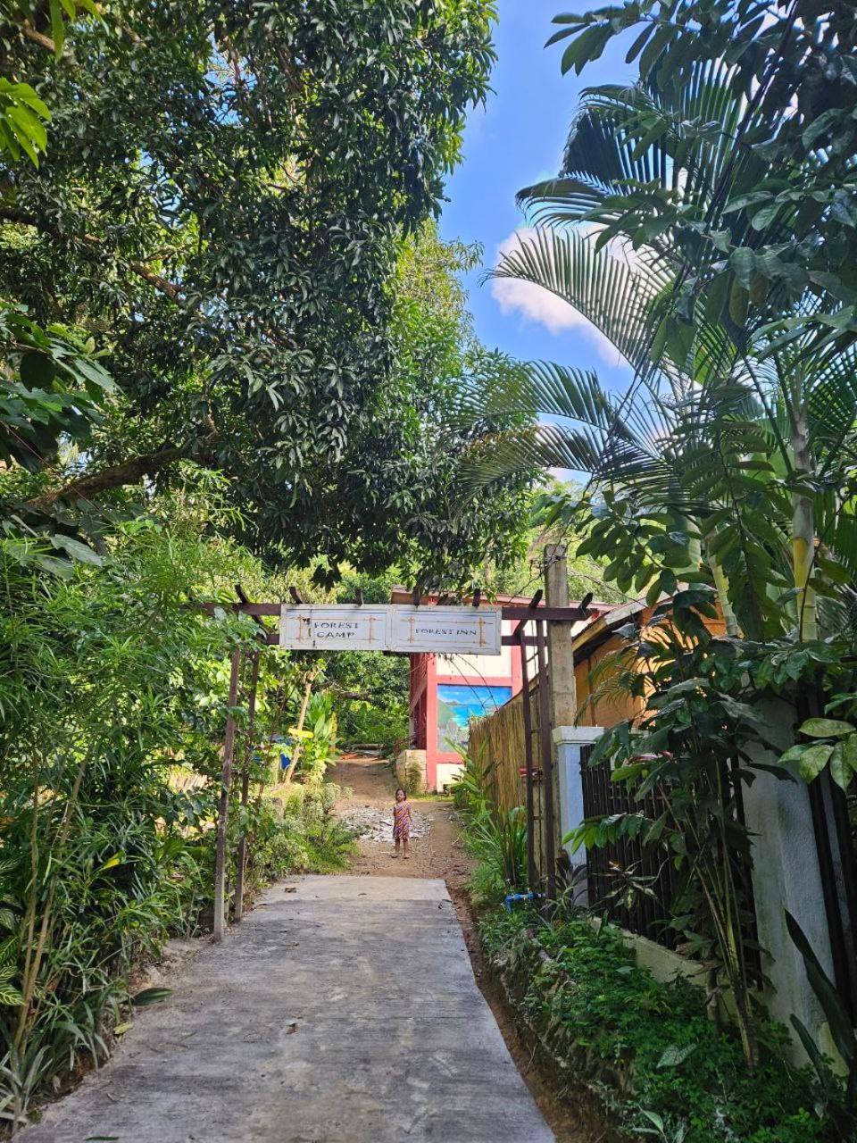 Forest Camp El Nido Extérieur photo